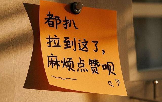 阿兰:唯美歌姬、康巴第一美人